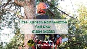 (c) Treesurgeon-northampton.co.uk